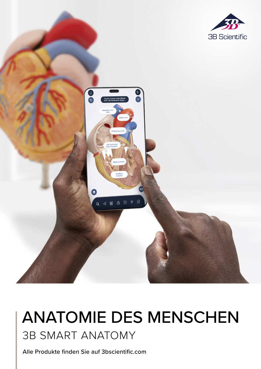 3_b_scientific_3_b_scientific_anatomy_catalog_german_dark_and_light_skin_tone – Vorschau